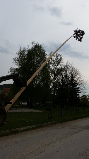 img00012.jpg
