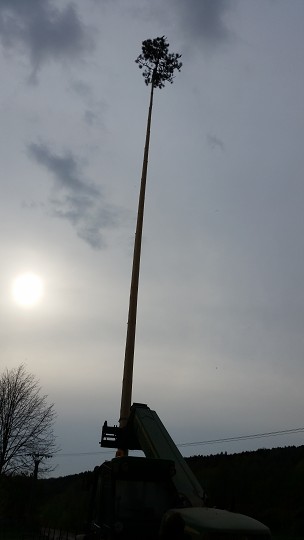 img00017.jpg