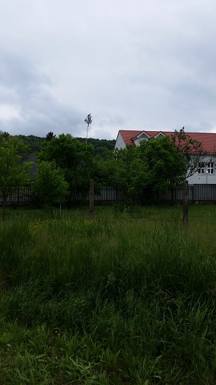 img00029.jpg