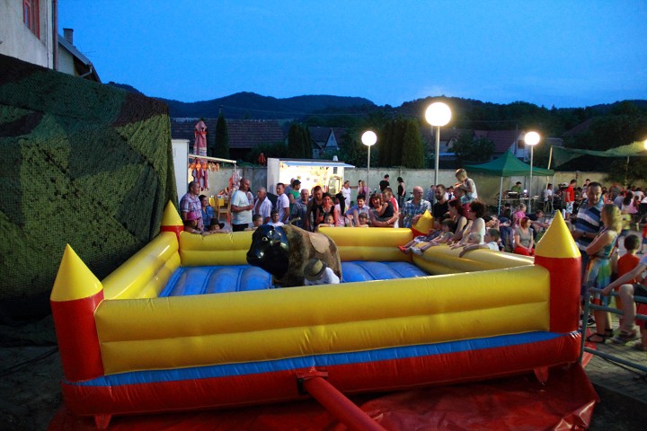 img00132.jpg