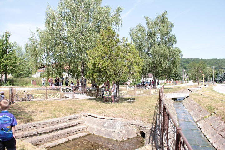 img00009.jpg