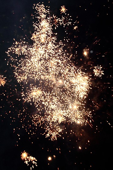 img00022.jpg