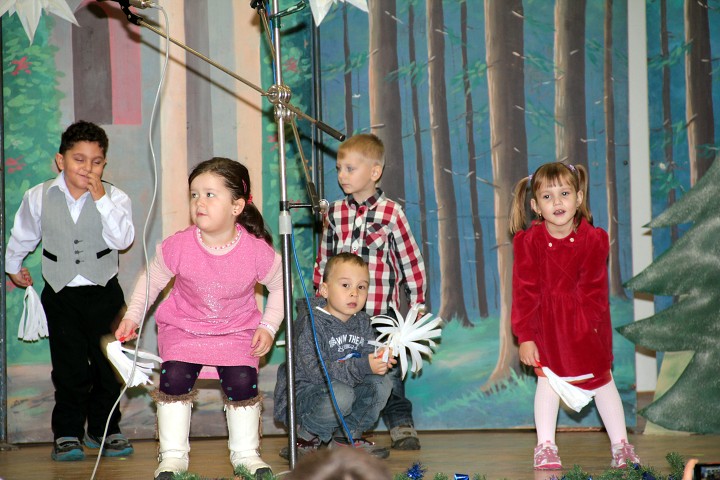 img00009.jpg