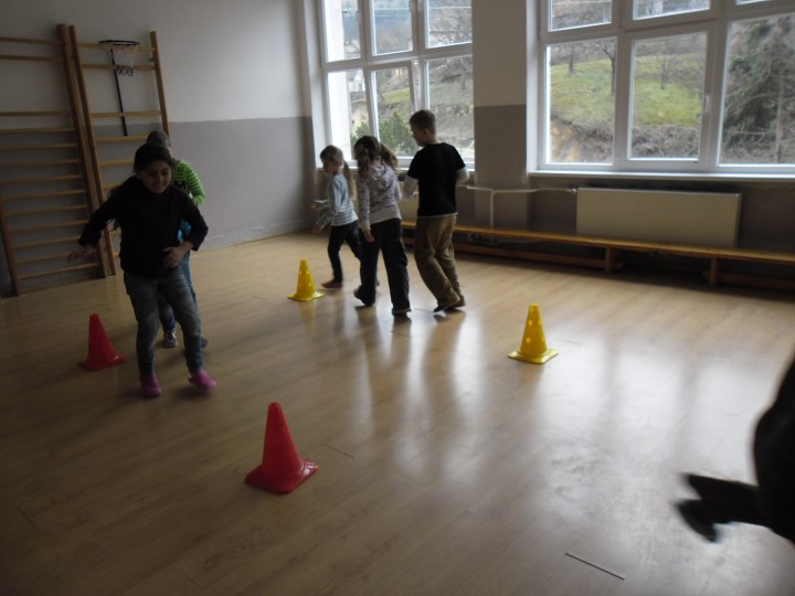 img00029.jpg