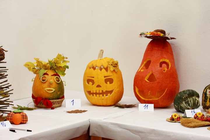 img00013.jpg